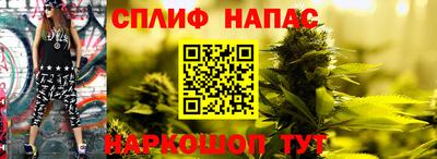 ешки Краснознаменск