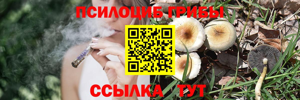 Псилоцибиновые грибы мицелий  Вход с VPN  Каменка 